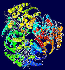 البروتين أحد المكونات الرئيسية الثلاثة للأغذية المهمة للجسم